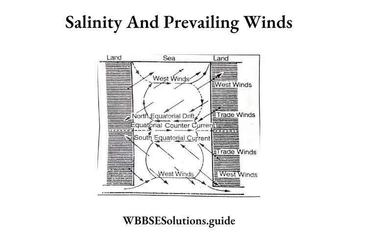 WBBSE Solutions For Class 10 Geography And Environment Chapter 3 Hydrosphere Salinity And Prevailing Winds