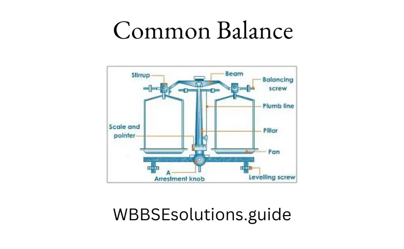 WBBSE Solutions For Class 9 Physical Science And Environment Chapter 1 Measurement common balance