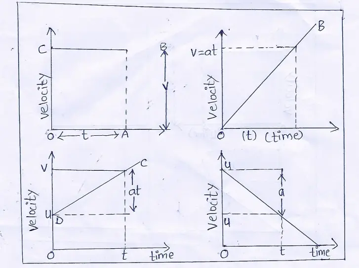 WBBSE Solutions For Class 9 Physical Science And Environment Chapter 2 Forces And Motion velocity times graphs