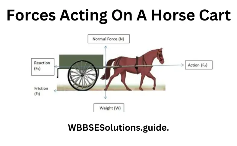 WBBSE Solutions For Class 9 Physical Science And Environment Chapter 2 forces and motion Forces Acting On A Horse Cart