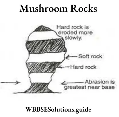 WBBSE-Solutions-For-Class-10-Geography-And-Environment-Chapter-1-Exogenic-Processes-Mushroomrock