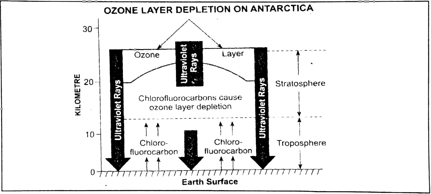 WBBSE Solutions For Class 10 Geography And Environment Chapter 2 Atmosphere Ozone layer Depletion On Antarctica