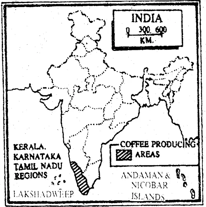 WBBSE Solutions For Class 10 Geography And Environment India - Agriculture Of India Area of production of Coffee Producing areas in india