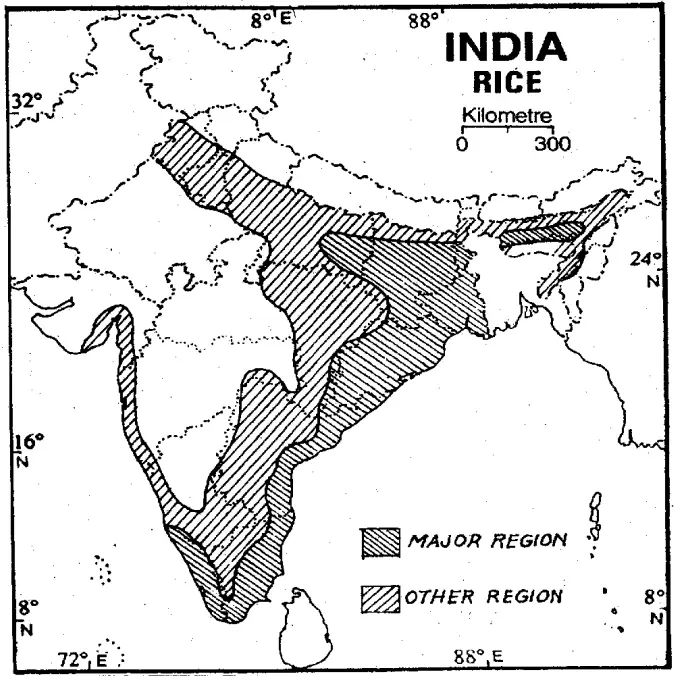 WBBSE Solutions For Class 10 Geography And Environment India - Agriculture Of India Area of production of Rice in india