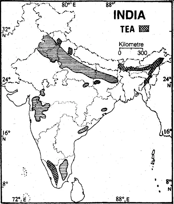 WBBSE Solutions For Class 10 Geography And Environment India - Agriculture Of India Area of production of tea in india