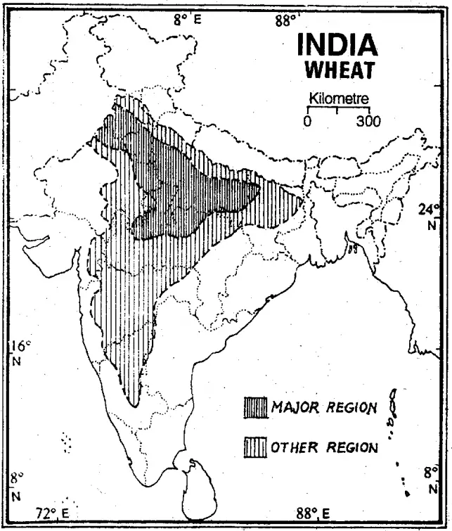 WBBSE Solutions For Class 10 Geography And Environment India - Agriculture Of India Wheat producing regions of india