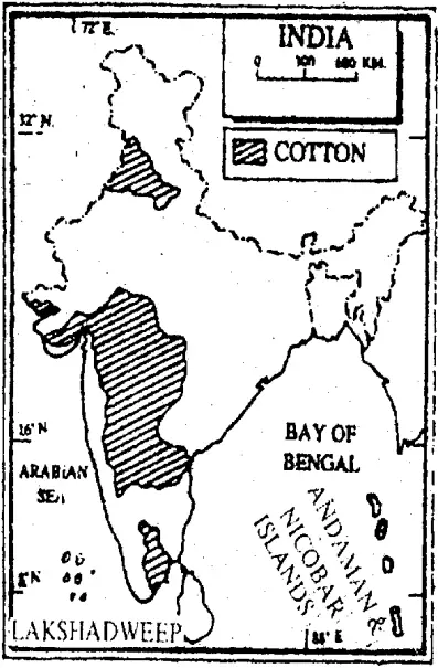 WBBSE Solutions For Class 10 Geography And Environment India - Agriculture Of India cotton producing areas of india