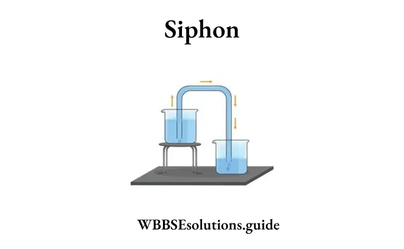 WBBSE Solutions For Class 9 Physical Science And Environment Chapter 3 Matter Structure And Properties siphon 