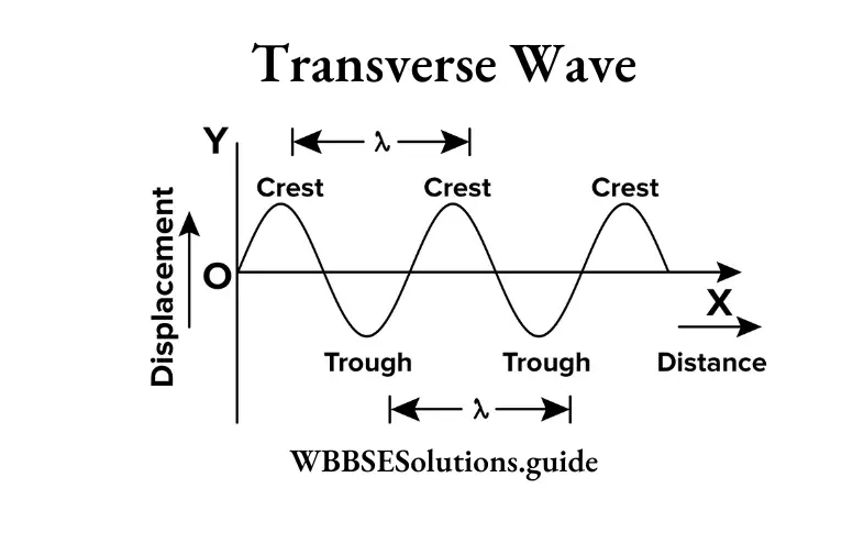 WBBSE Solutions For Class 9 Physical Science And Environment Chapter 7 Sound Transverse Wave