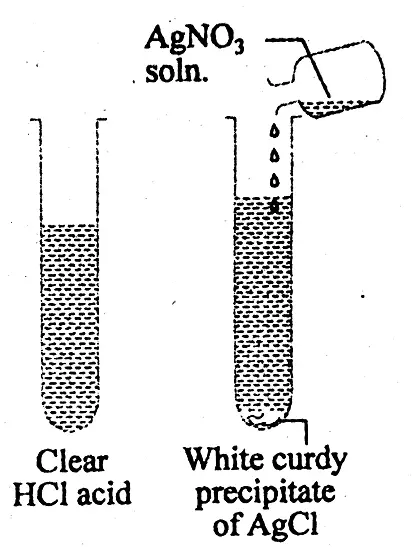 WBBSE Solutions For Class 9 Physical Science And Environment Solution Acids , Bases And Salts Nitric Acid