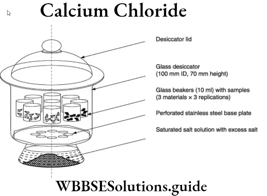 WBBSE Solutions For Class 9 Physical Science And Environment Solution Calcium Chloride.