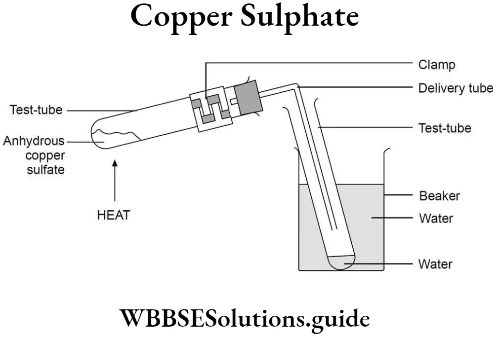 WBBSE Solutions For Class 9 Physical Science And Environment Solution Copper Sulphate.
