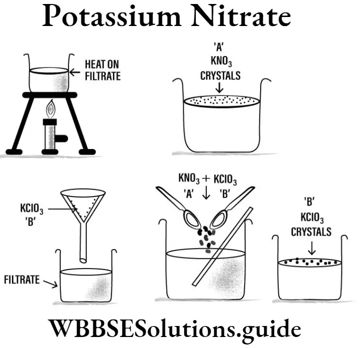 WBBSE Solutions For Class 9 Physical Science And Environment Solution Potassium Nitrate.