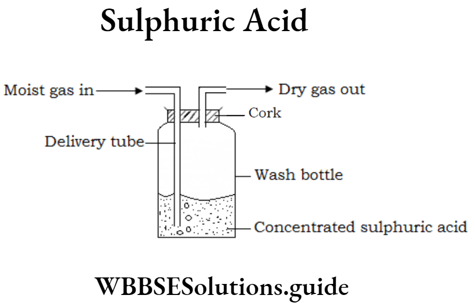 WBBSE Solutions For Class 9 Physical Science And Environment Solution Sulphuric Acid.