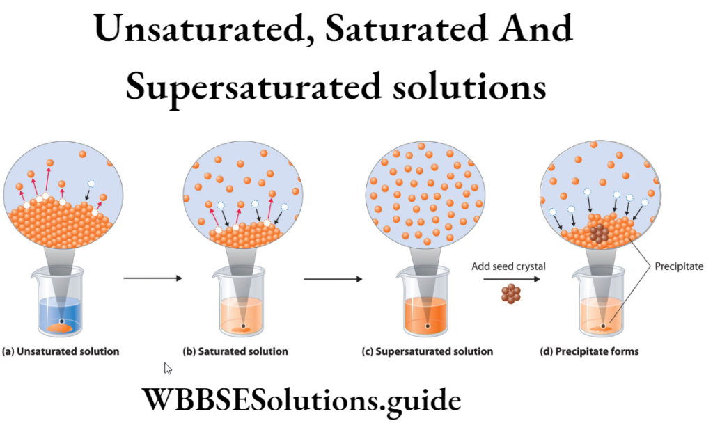 WBBSE Solutions For Class 9 Physical Science And Environment Solution ...