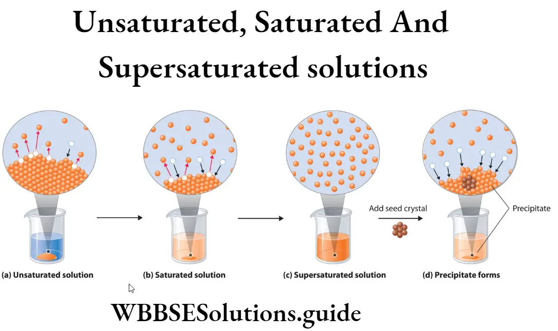 WBBSE Solutions For Class 9 Physical Science And Environment Solution Unsaturated,Saturated and Supersaturated solutions