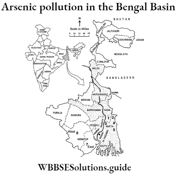 WBBSE Solutions For Class 9 Physical Science And Environment Water Arsenic pollution in the Bengal Basin
