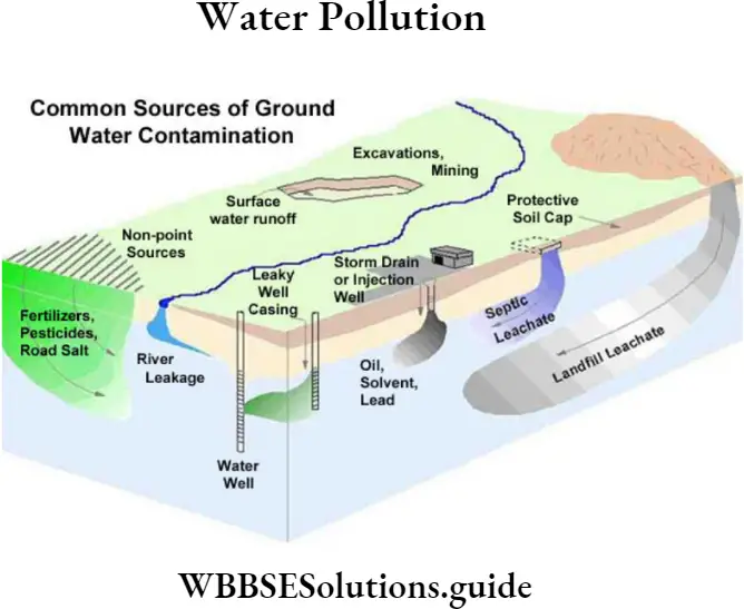WBBSE Solutions For Class 9 Physical Science And Environment Water Water Pollution