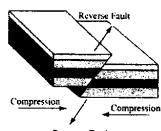 WBBSE Solutions For Class 9Geography And Environment Chapter 4 Geomorphic Processes And Land Forms Of The Earth Reverse Faults