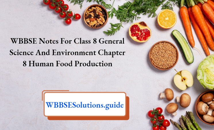 WBBSE Class 8 General Science And Environment Chapter 8 Human Food Production