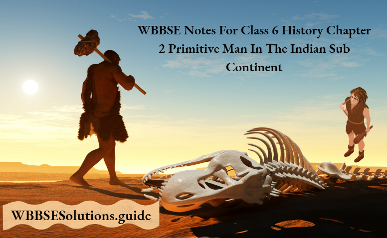 WBBSE Notes For Class 6 History Chapter 2 Primitive Man In The Indian Sub Continent