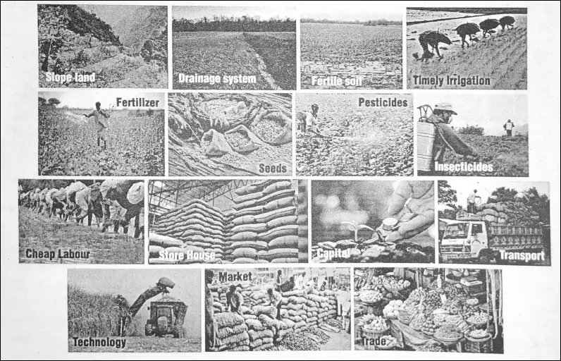 WBBSE Notes For Class 6 Physical Geography Chapter 10 India - Agriculture Of India Essential elements For Agriculture