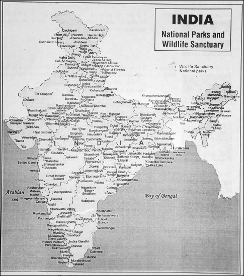 WBBSE Notes For Class 6 Physical Geography Chapter 10 India - Natural Vegetation Of India National Parks and Wildlife Sanctuary