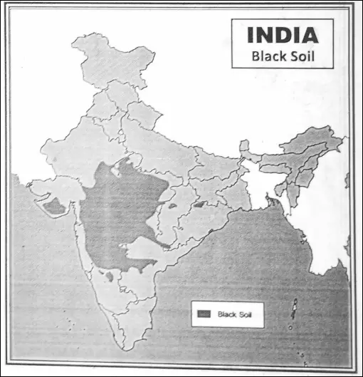 WBBSE Notes For Class 6 Physical Geography Chapter 10 India - Soils Of India Black Soils of India