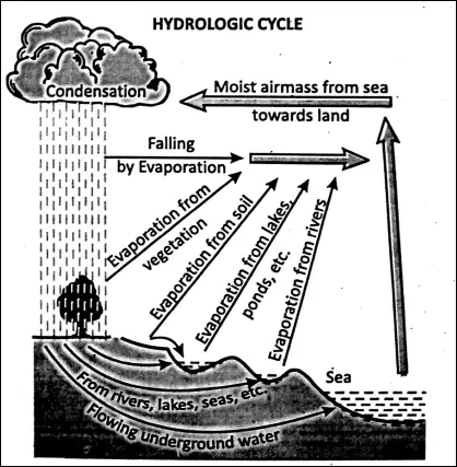WBBSE Notes For Class 6 Physical Geography Chapter 5 Water Land Air Hydrological Cycle