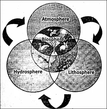 WBBSE Notes For Class 6 Physical Geography Chapter 5 Water Land Air Relation between Hydrosphere Lithosphere Atmosphere And Biosphere