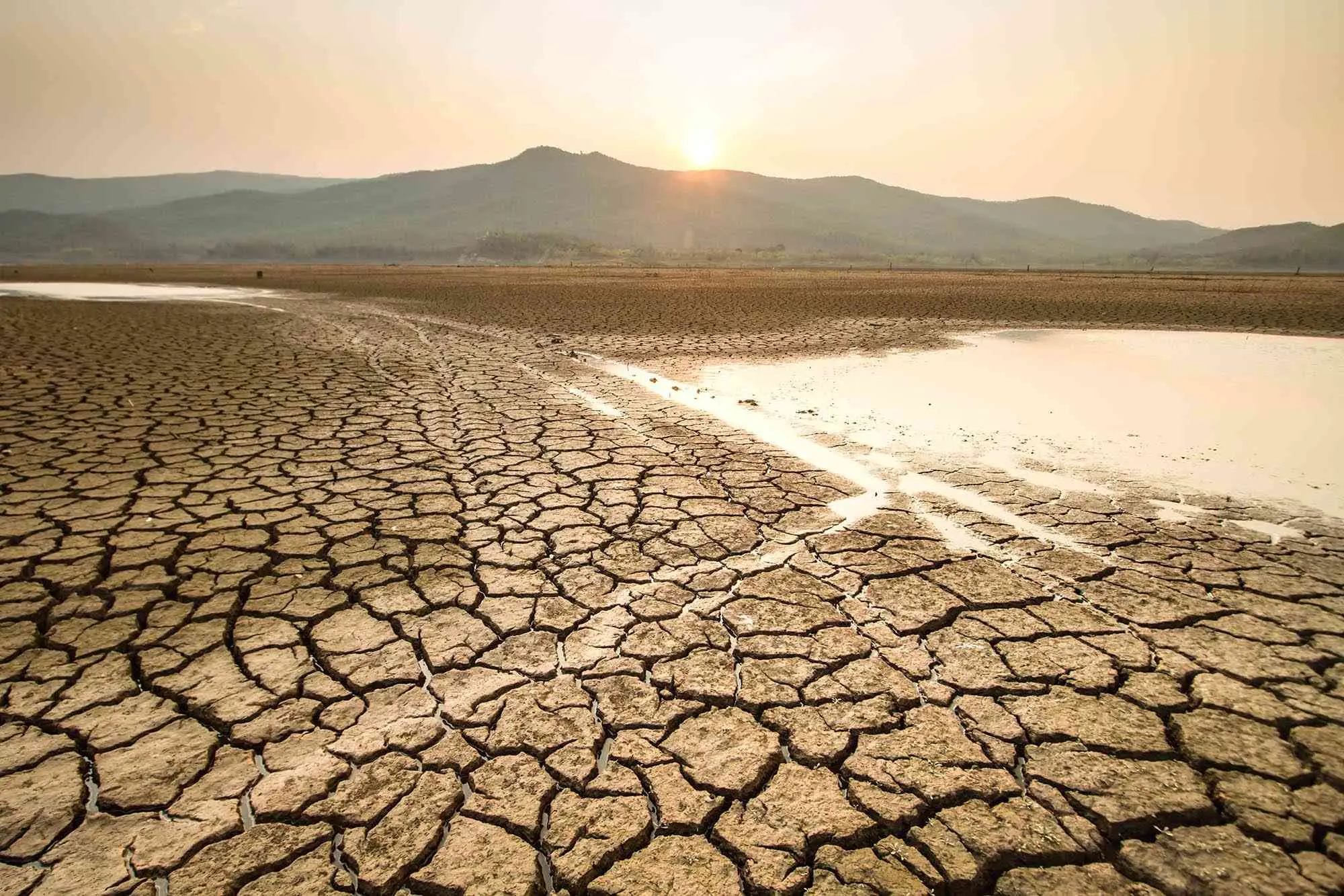 WBBSE Notes For Class 8 Chapter 7 Human Activities And Environmental Degradation Drought