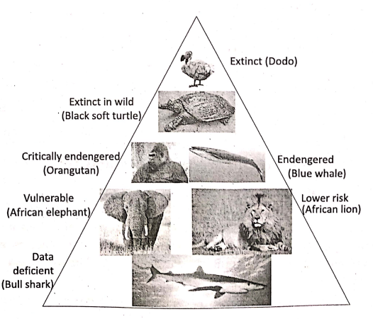 WBBSE Notes For Class 8 General Science And Environment Chapter 10 Biodiversity Endangered animals of india .