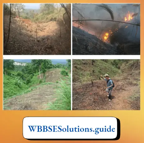 WBBSE Notes For Class 8 General Science And Environment Chapter 10 Biodiversity Jhum cultivation, Deforestration,soil errossion