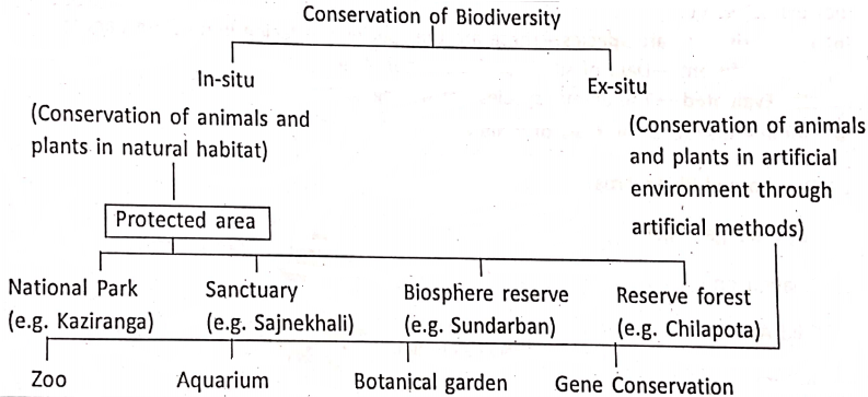 WBBSE Notes For Class 8 General Science And Environment Chapter 10 Biodiversity eConservation of biodiversity