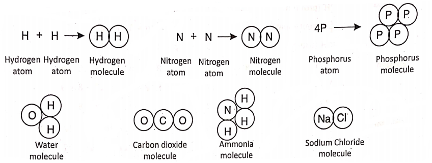 WBBSE Notes For Class 8 General Science And Environment Chapter 2 Nature Of Matter Molecule