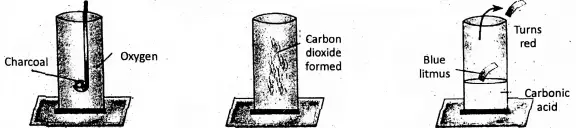 WBBSE Notes For Class 8 General Science And Environment Chapter 3 KnowAbout Some Common Gases Carbon