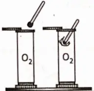 WBBSE Notes For Class 8 General Science And Environment Chapter 3 KnowAbout Some Common Gases Oxygen supports combustion