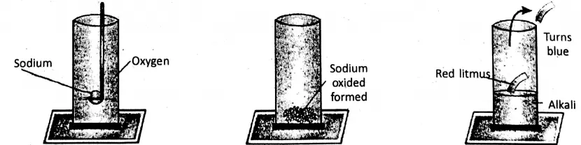 WBBSE Notes For Class 8 General Science And Environment Chapter 3 KnowAbout Some Common Gases Reaction with Sodium