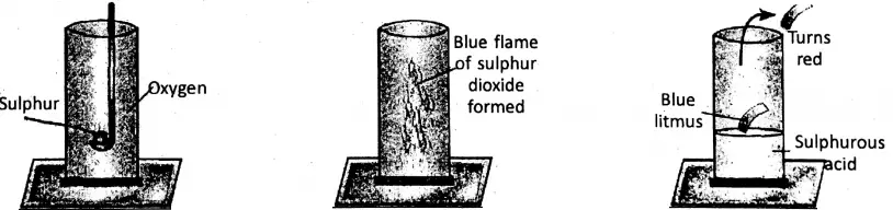 WBBSE Notes For Class 8 General Science And Environment Chapter 3 KnowAbout Some Common Gases Sulphur