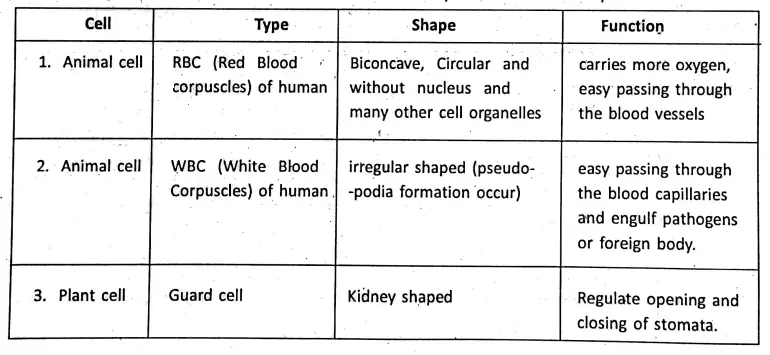 WBBSE Notes For Class 8 General Science And Environment Chapter 6 Structure Of Living Organism Cell varies with the functions it perform