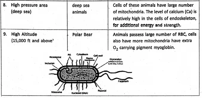 WBBSE Notes For Class 8 General Science And Environment Chapter 6 Structure Of Living Organism Environment some examples 2