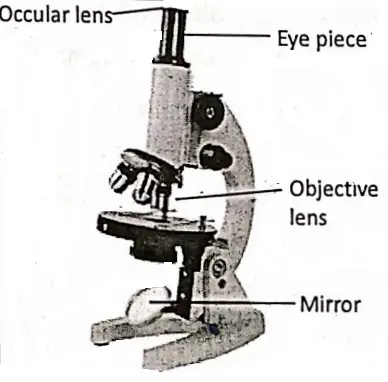 WBBSE Notes For Class 8 General Science And Environment Chapter 6 Structure Of Living Organism Light Microscope