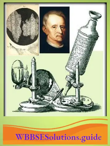 WBBSE Notes For Class 8 General Science And Environment Chapter 6 Structure Of Living Organism cell Robert Hooke and the microscope discovered by him