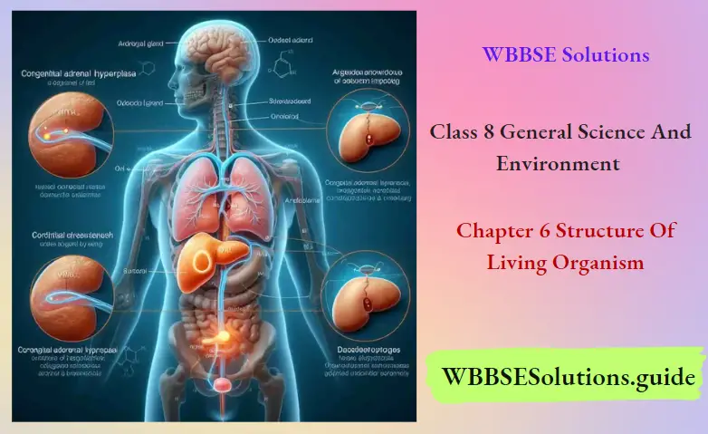 WBBSE Notes For Class 8 General Science And Environment Chapter 6 Structure Of Living Organism