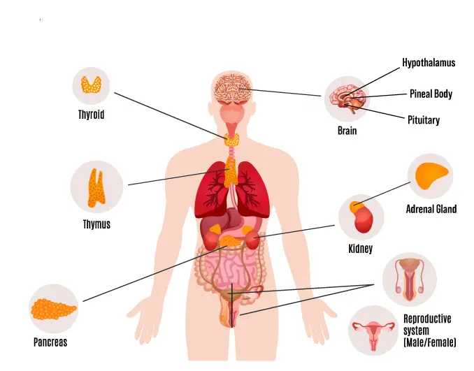 WBBSE Notes For Class 8 General Science And Environment Chapter 9 ...