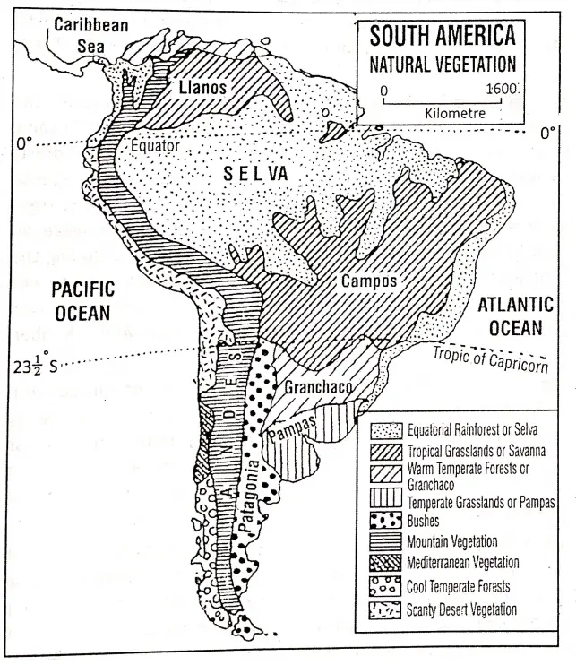 WBBSE Notes For Class 8 Geography Chapter 10 South America Natural Vegetation