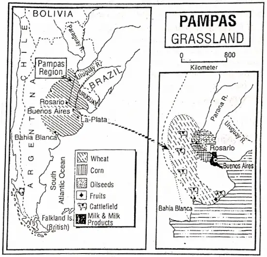 WBBSE Notes For Class 8 Geography Chapter 10 South America Pampas Grassland