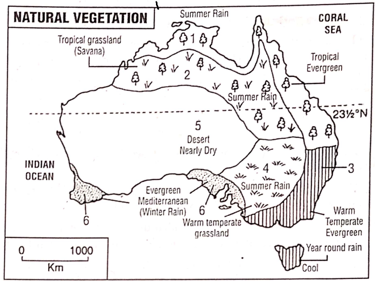 WBBSE Notes For Class 8 Geography Chapter 11 Oceania Natural Vegetation Of Oceania