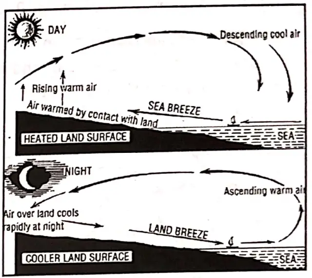 WBBSE Notes For Class 8 Geography Chapter 4 Pressure Belts And Winds Sea Breeze And Land Breeze
