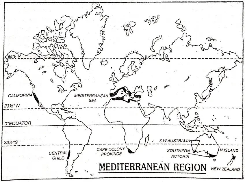 WBBSE Notes For Class 8 Geography Chapter 6 Climatic Regions Mediterranean Region
